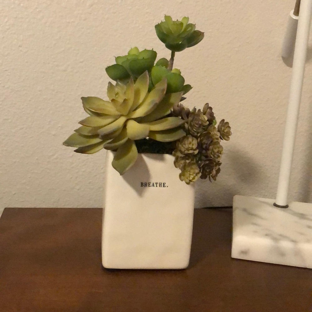 Rae Dunn succulent